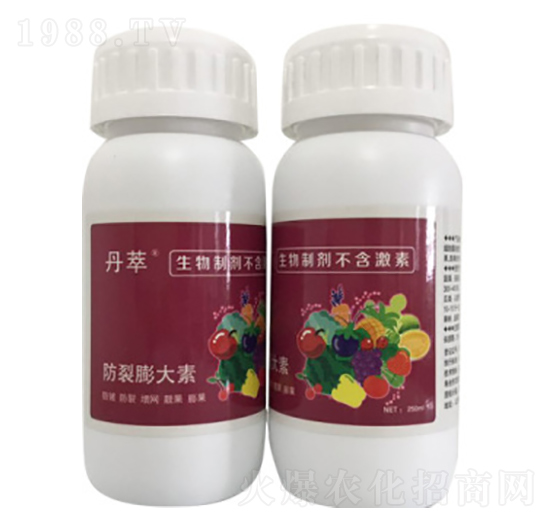 ���������-�r(n��ng)����