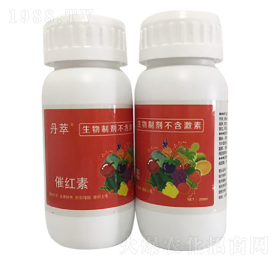 �߼t��-�r(n��ng)����(l��)