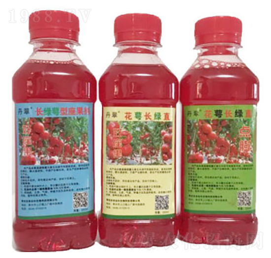 �����L(zh��ng)�Gֱ-�r(n��ng)����