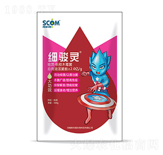 ���ġ��L(zh��ng)֦ľù��-��(x��)�E�`-˹��ķ