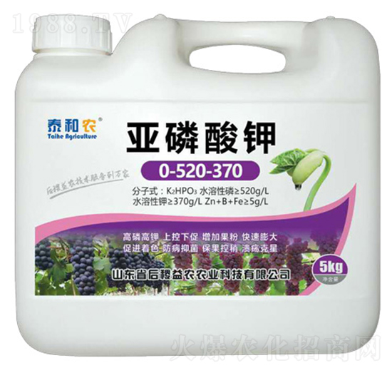 �������-̩���r(n��ng)-������r(n��ng)