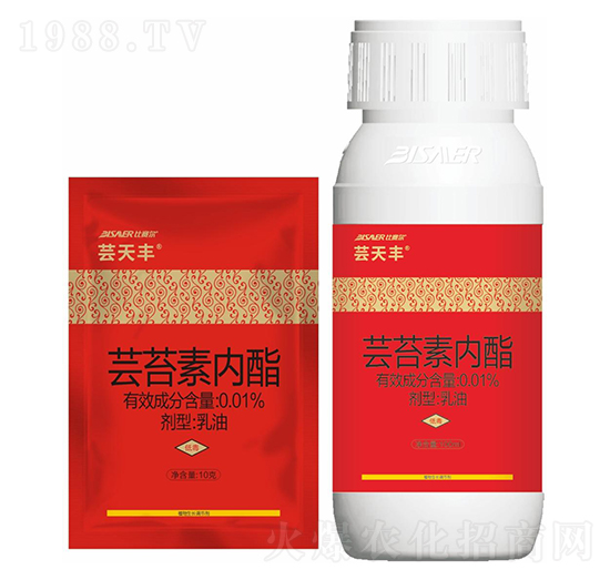 �|̦�؃���-�|���S-��ِ��