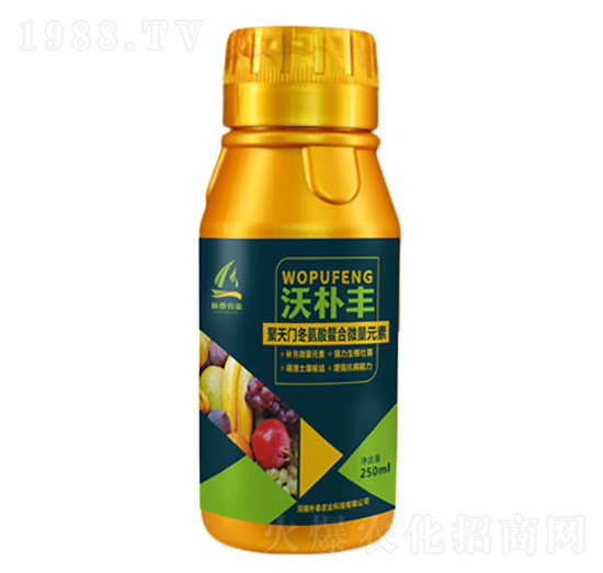 �����T(m��n)����������΢��Ԫ��-�֘��S-��̩