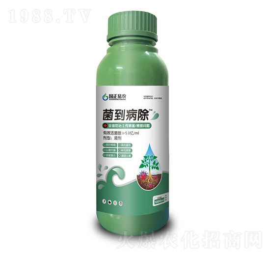 ����������ȫ��������������������}��-��(gu��)�����r(n��ng)