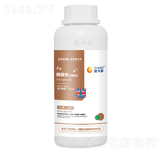 �Ǵ��F���p���ϣ�-�W����