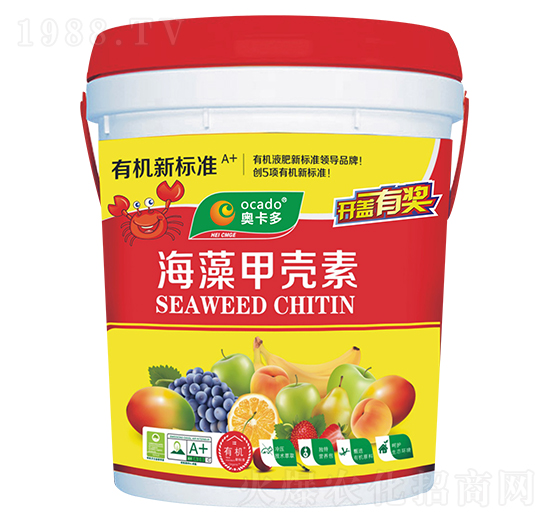 ����ך���-�W����