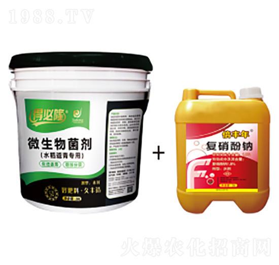 水稻返青專用微生物菌劑-得必隆-農(nóng)墾久豐