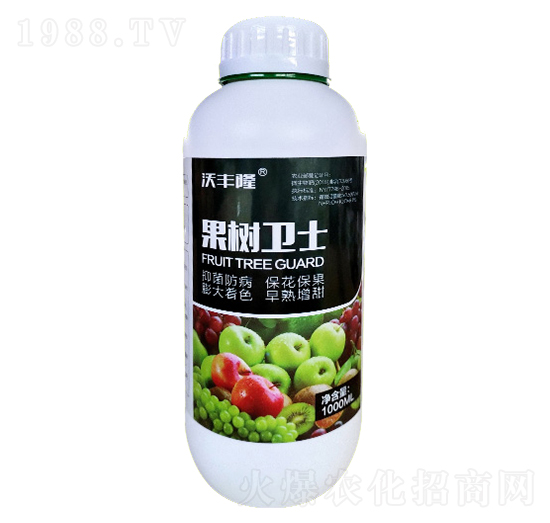 �����l(w��i)ʿ-��