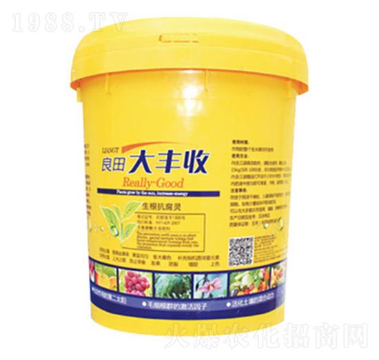 ������S��-�Ȳ��r��