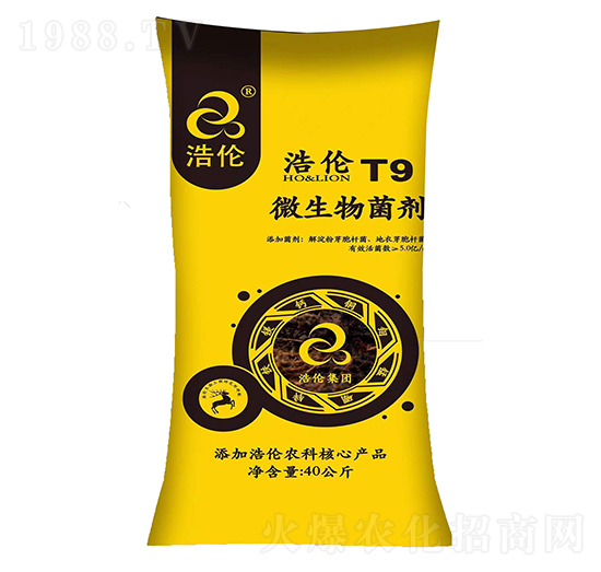 ΢�������T9-�Ƃ�