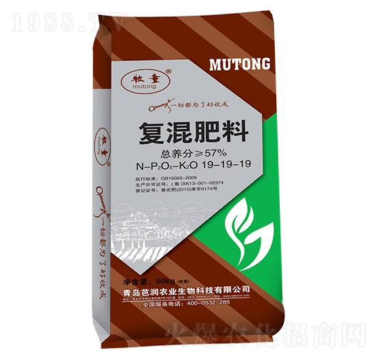 �ͻ����19-19-19-�ŝ�