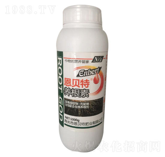 1000g�B(y��ng)����-��ؐ��