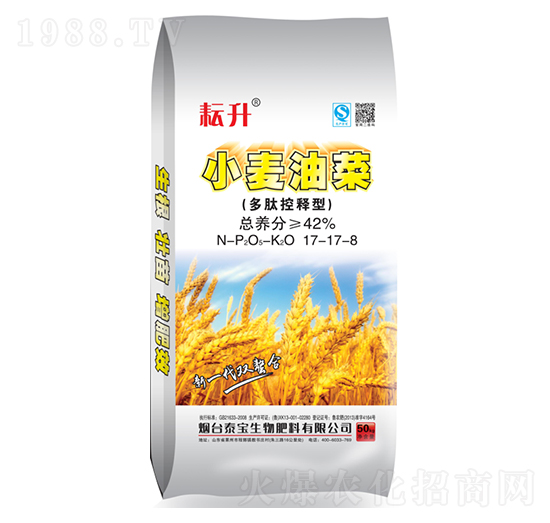 С���Ͳ˶��Ŀ����17-17-17-̩������