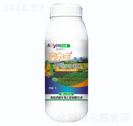 ħ��������-����ɭ-��������