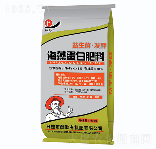 ���嵰�׷���-����