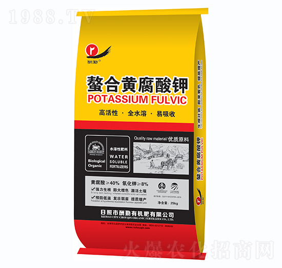 �����S�����-����