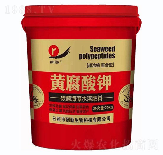 �S�����-����