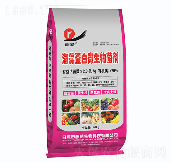 ���嵰��΢�������-����