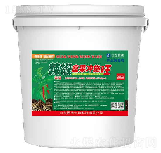 ���������_ʩ��-��������