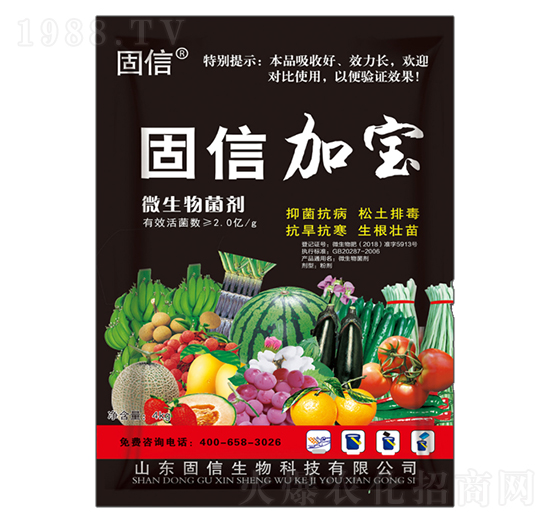 ���żӌ�΢�������-��������