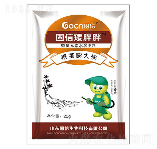 ���o����-��������