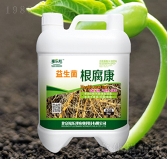 ������������-������