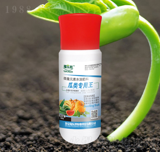 �������-����(l��)��