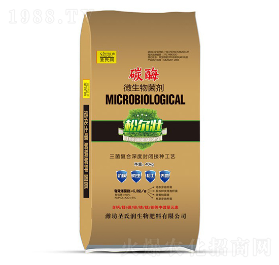 ̼ø΢�������-ʥ�ϝ�