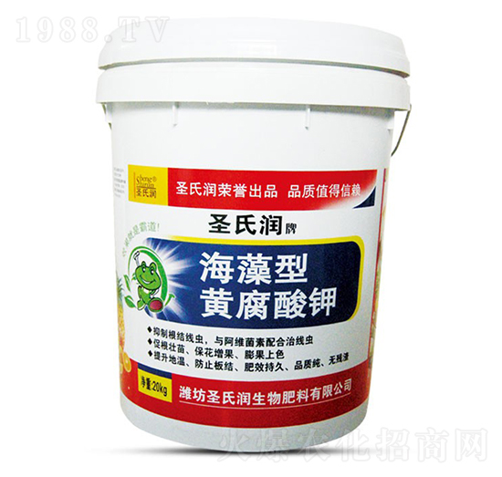 �������S�����-ʥ�ϝ�(r��n)