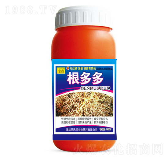 �����-ʥ�ϝ�