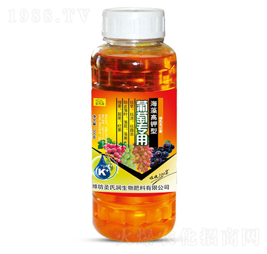 ���ь�(zhu��n)�ú�������-ʥ�ϝ�(r��n)