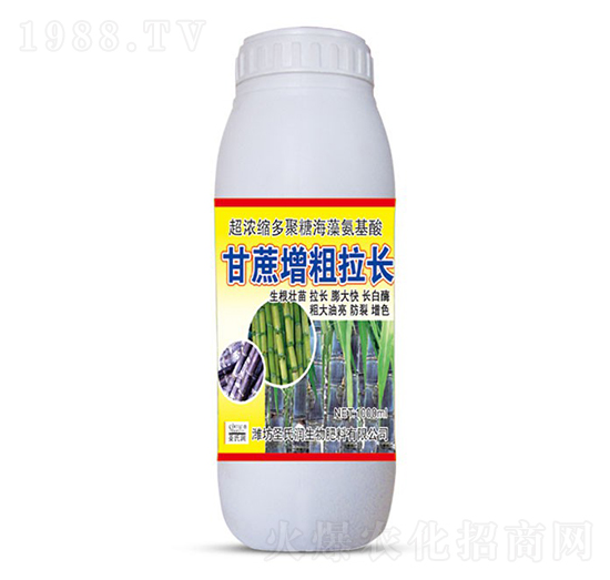 �����������L-ʥ�ϝ�