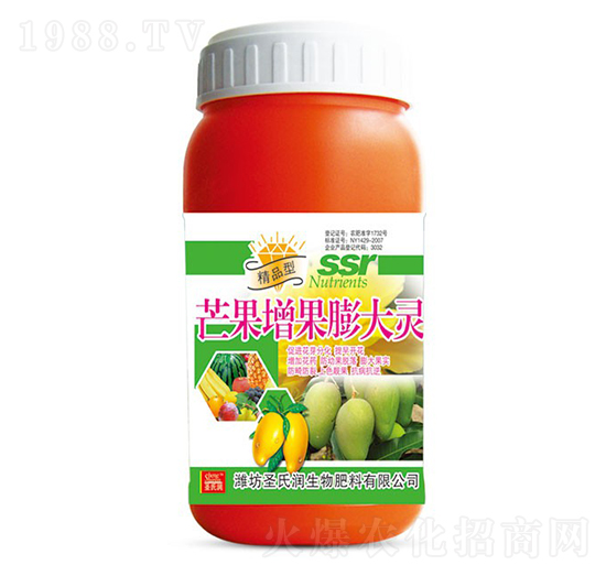 â����������`-ʥ�ϝ�