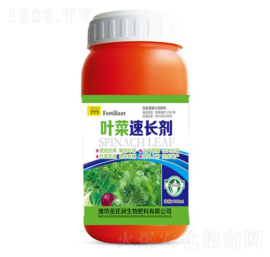 �~�����L��-ʥ�ϝ�