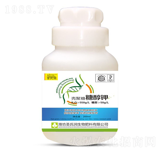 �Ǵ��-ʥ�ϝ�