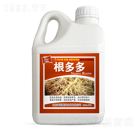 5kg�����-ʥ�ϝ�(r��n)