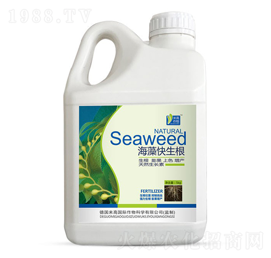 ���������-ʥ�ϝ�