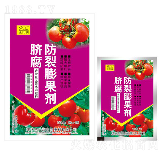 ���������-ʥ�ϝ�