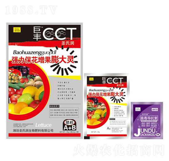 ��(qi��ng)��������������`-ʥ�ϝ�(r��n)