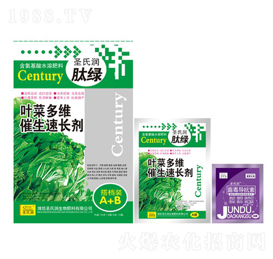 �~�˶�S�������L��-ʥ�ϝ�