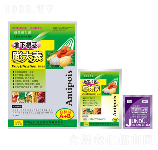 ���¸��o�����-ʥ�ϝ�