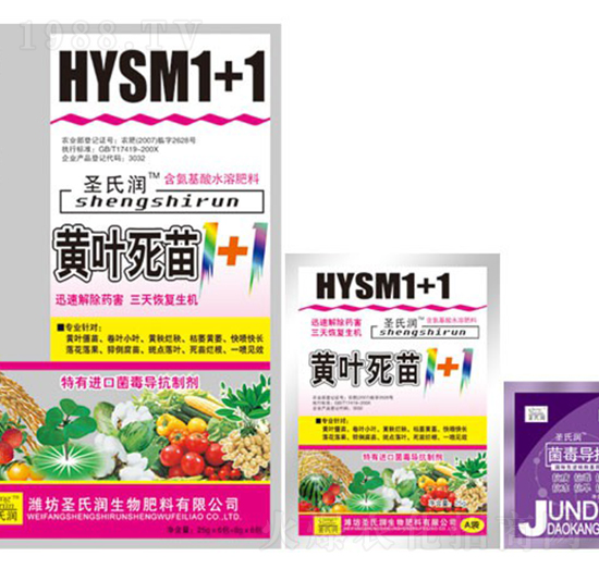 �S�~����1+1-ʥ�ϝ�