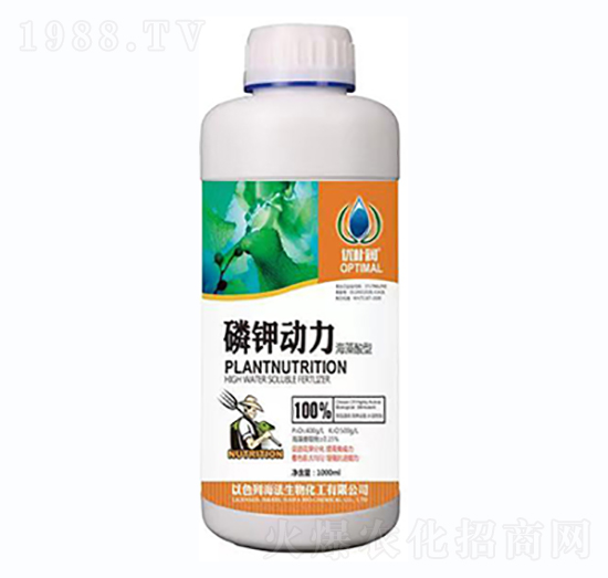 ��⛄���-һ������