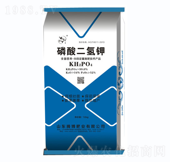 ��������-�v���ʘI(y��)