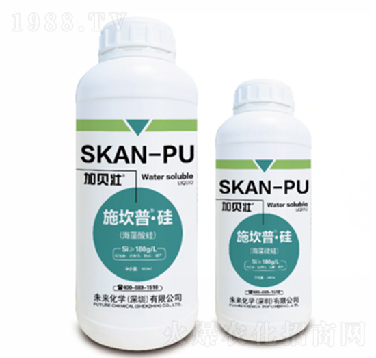 施坎普-硅-未來(lái)化學(xué)