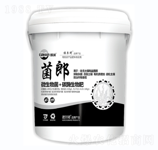 ����-�Z����