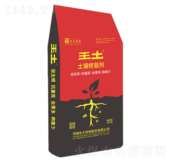 �����ޏ̈́�-����-�|��Ƽ�