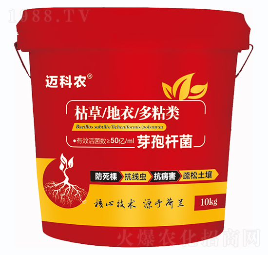 ѿ�ߗU��-�~���r-�Έ�����