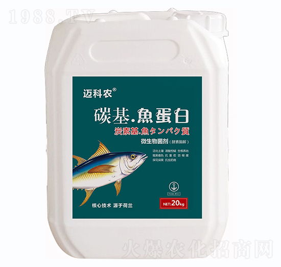 ̼�����~(y��)����-�~���r(n��ng)-�Έ�����