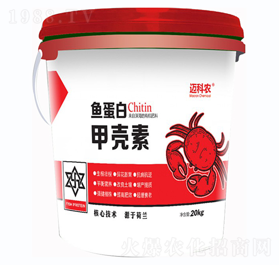 �~���׼ך���-�~���r(n��ng)-�Έ�����